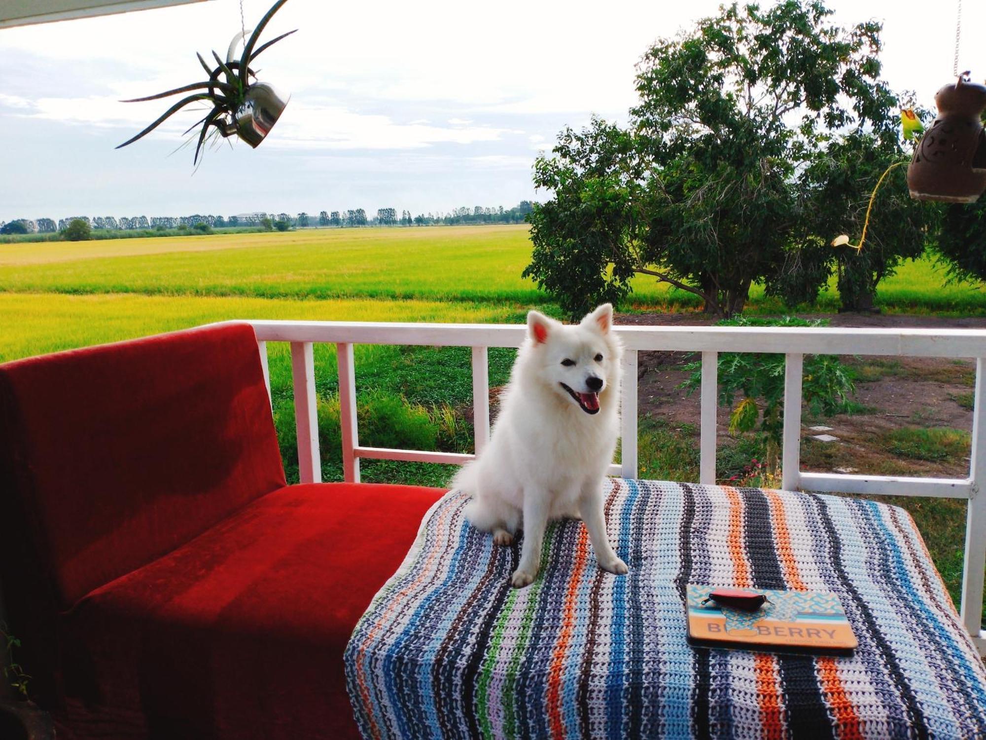 The 99 Cottage Suphanburi Exterior foto