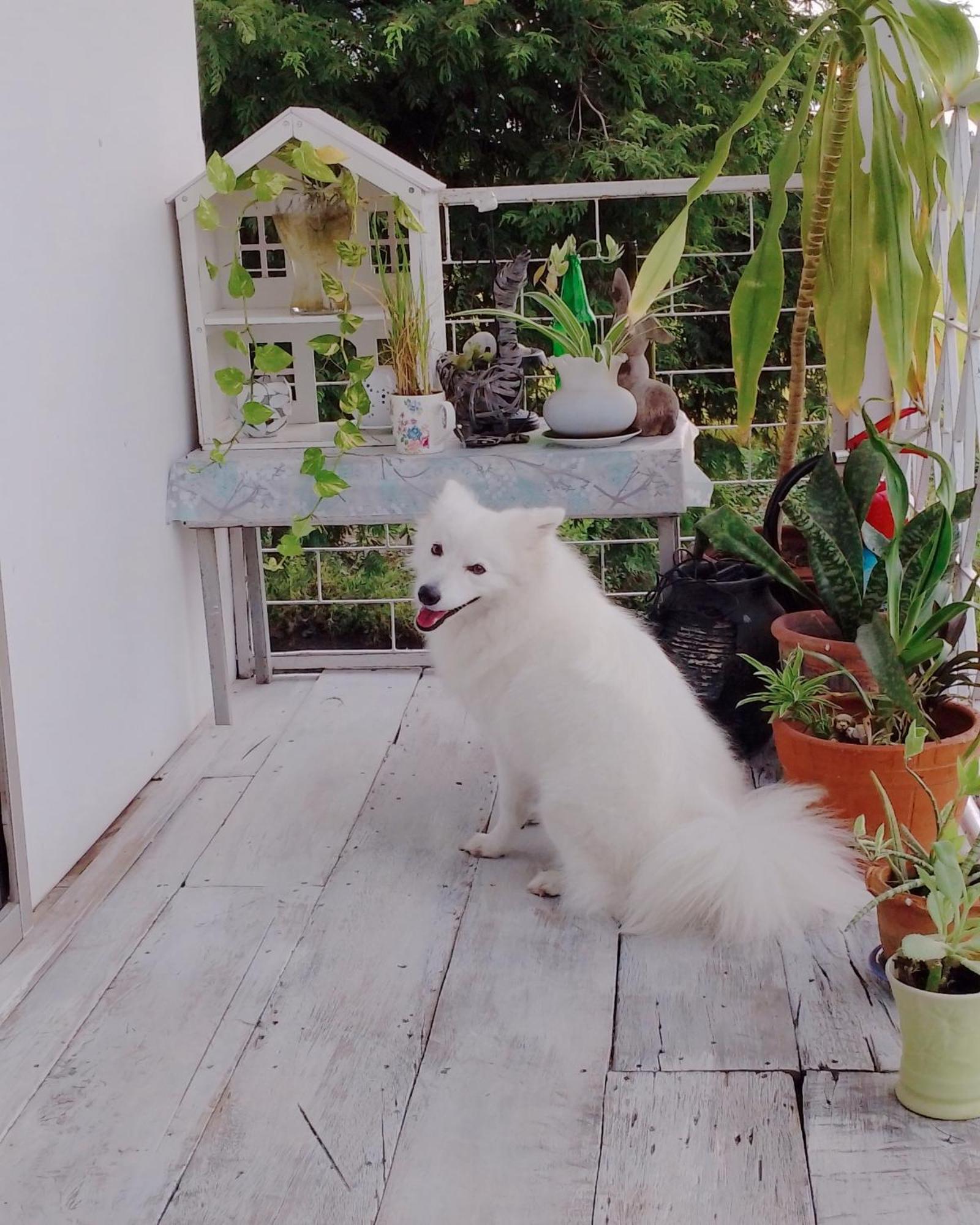 The 99 Cottage Suphanburi Exterior foto