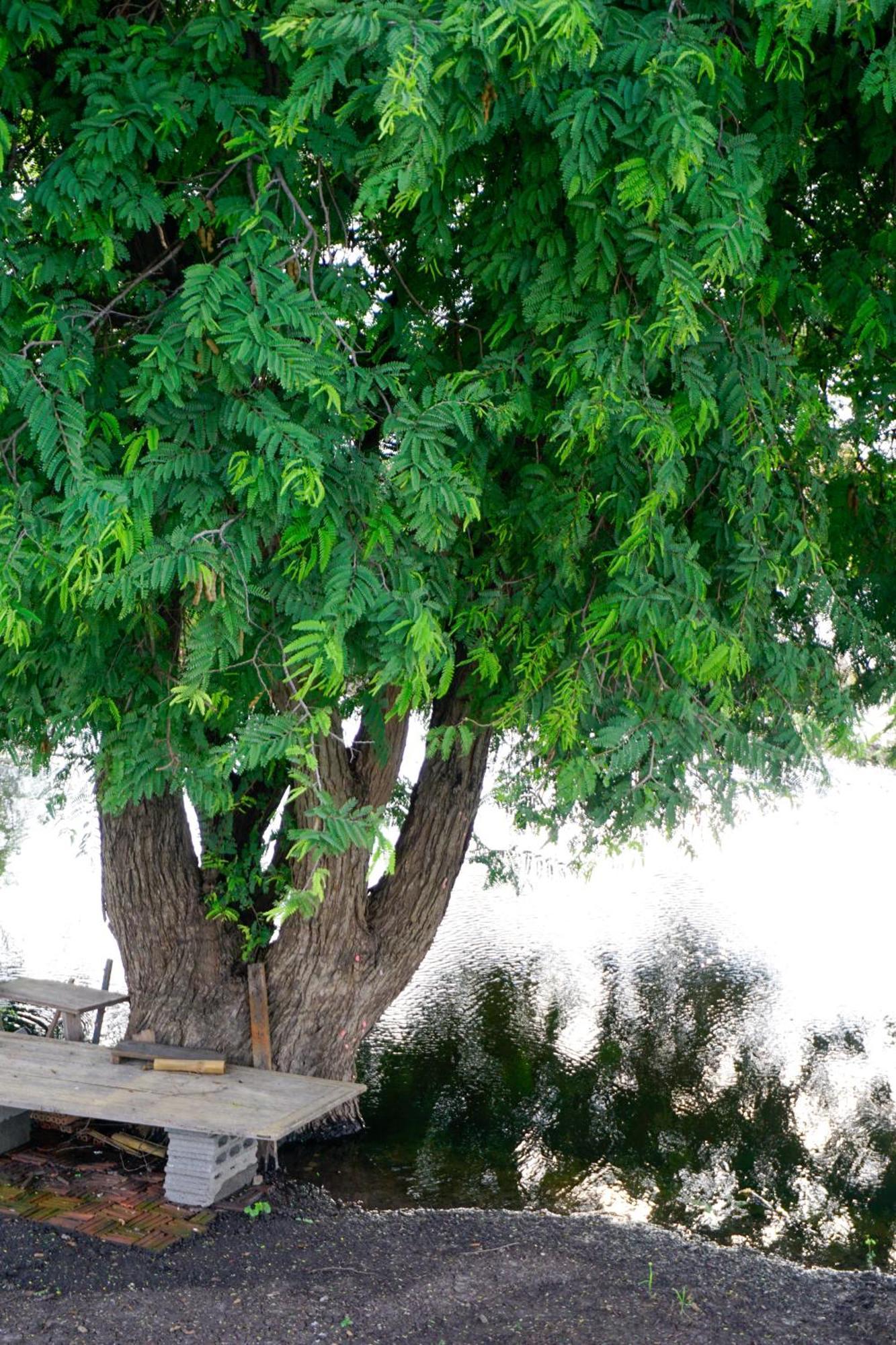 The 99 Cottage Suphanburi Exterior foto
